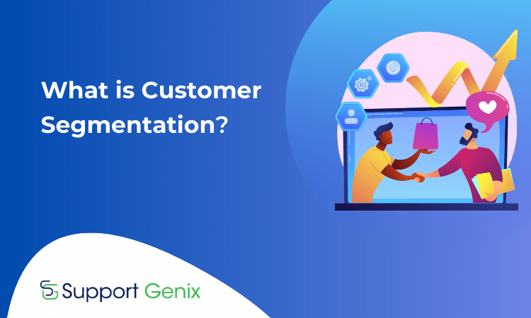 What is Customer Segmentation