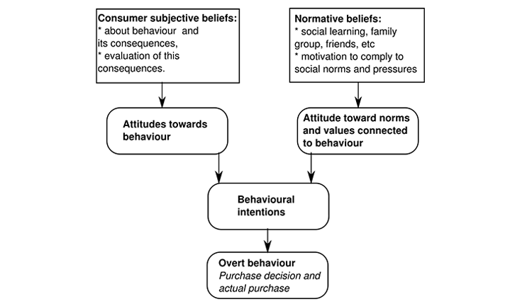 The Fishbein Model